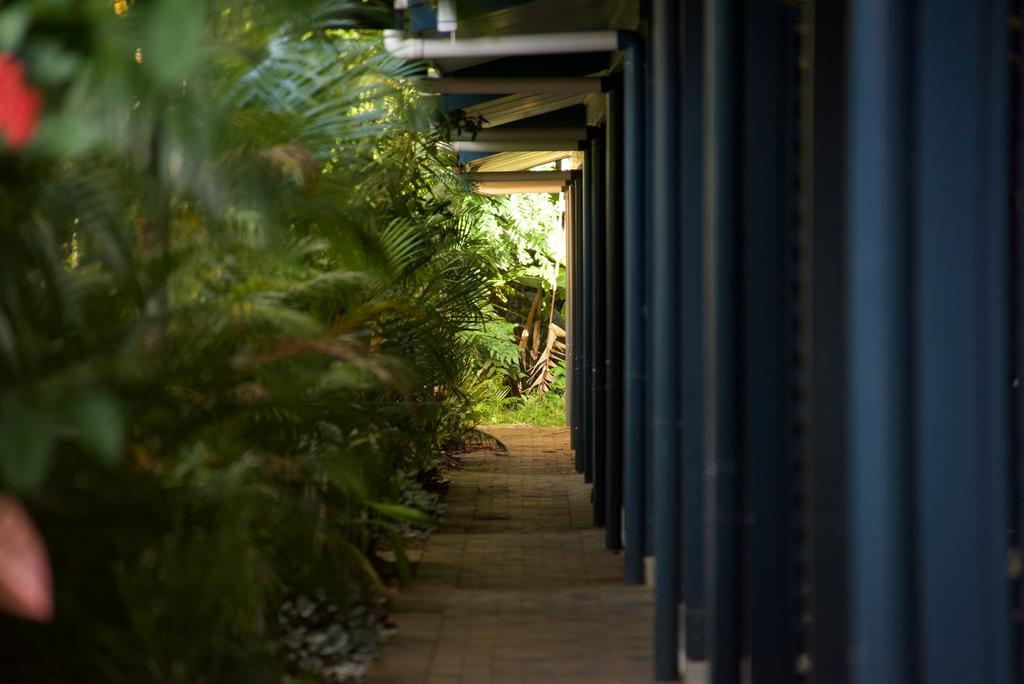 Lazy Lizard Motor Inn Port Douglas Exterior foto