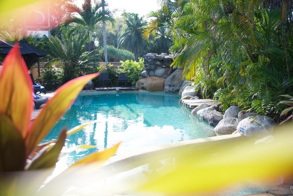 Lazy Lizard Motor Inn Port Douglas Exterior foto