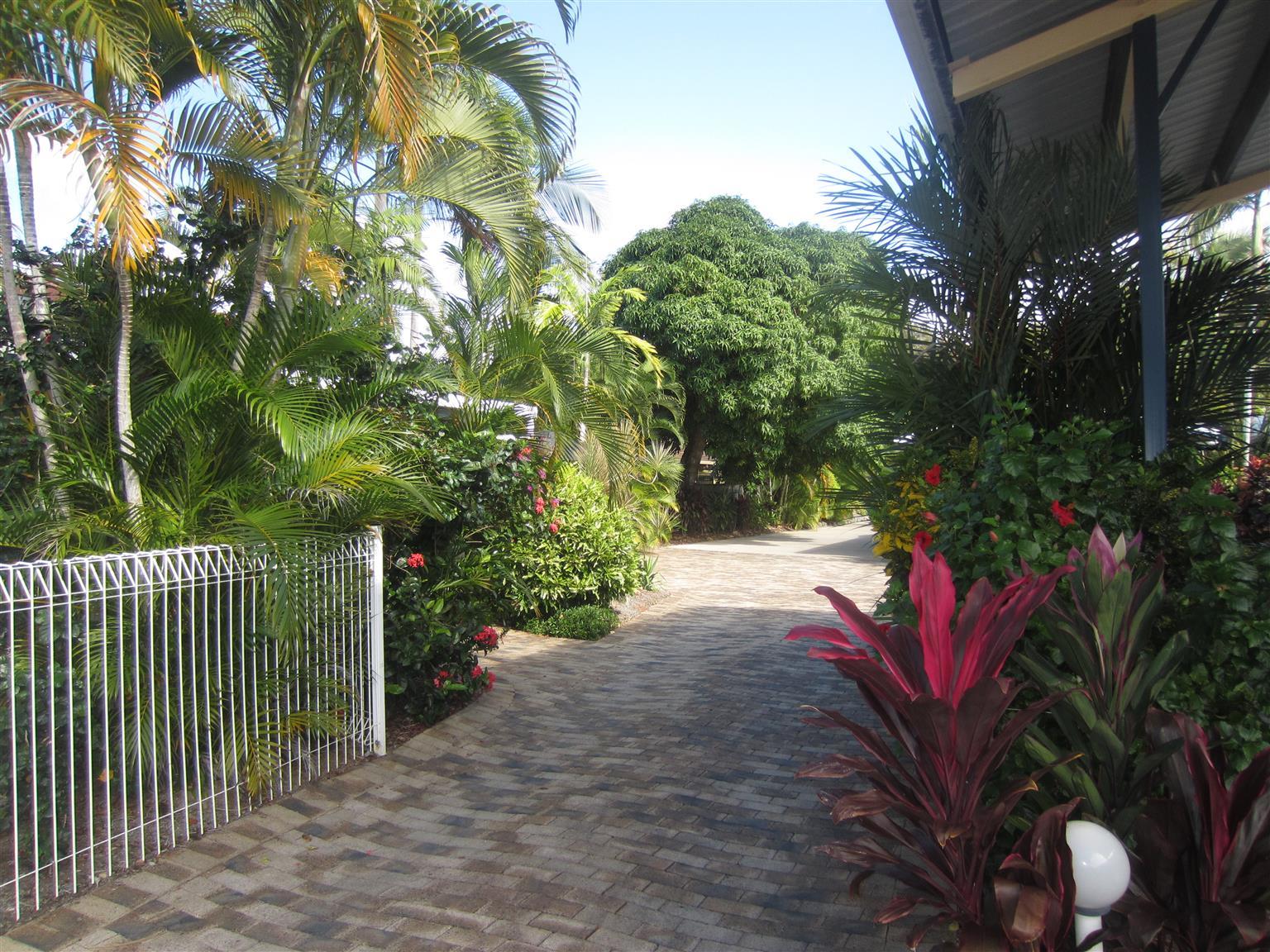 Lazy Lizard Motor Inn Port Douglas Exterior foto
