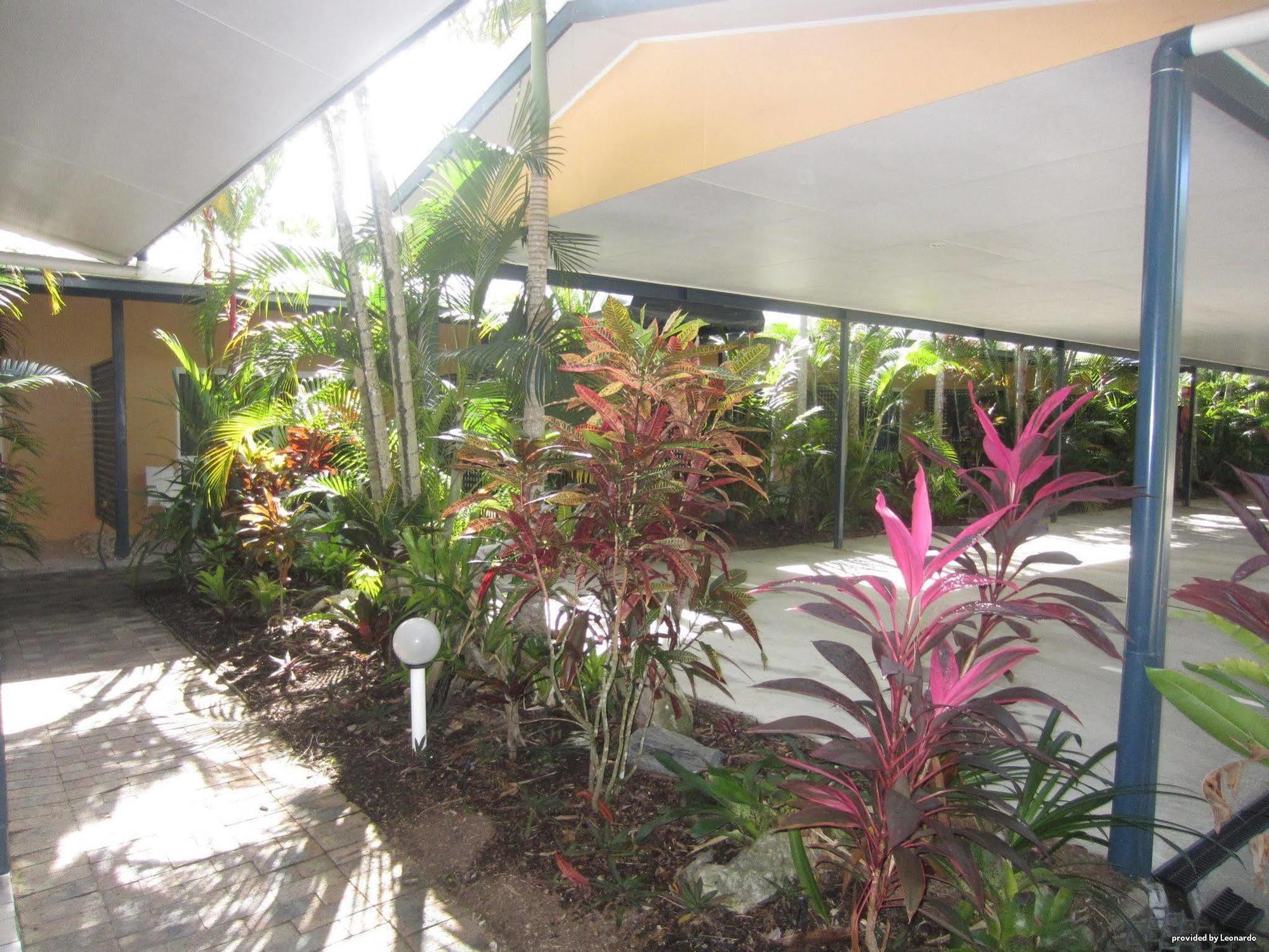 Lazy Lizard Motor Inn Port Douglas Exterior foto